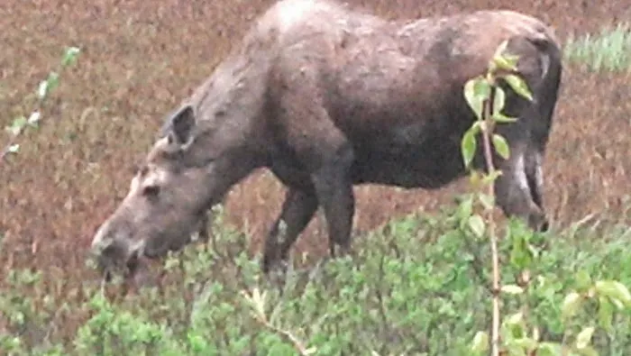 Iwanda Services Picture 4