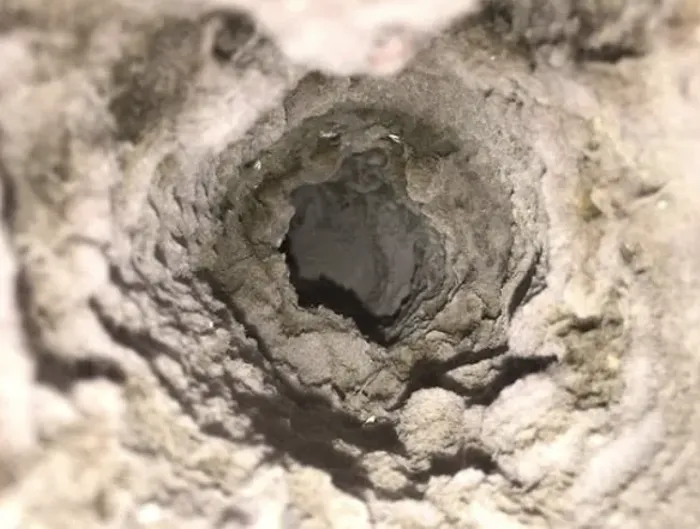 Clean Star Air Duct Cleaning Beaumont Picture 2