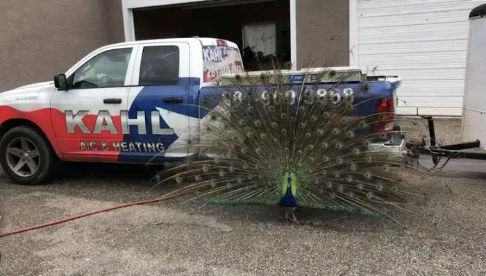 Kahl AC, Heating & Electrical Picture 8