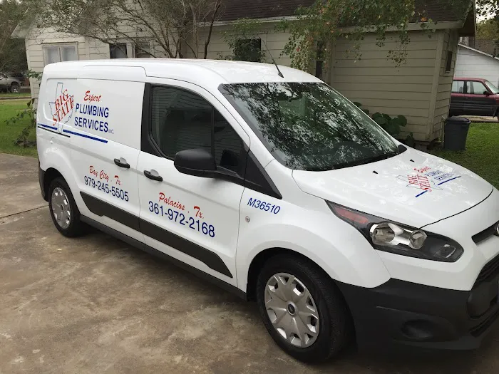 Big State Plumbing Services Inc. Picture 4