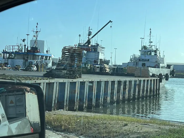 Moore-Climatic Picture 2