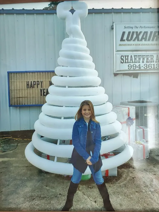 Shaeffer Air Picture 2