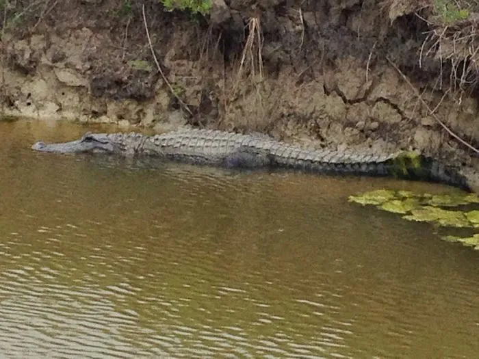 Heritage Heat and Air Picture 9