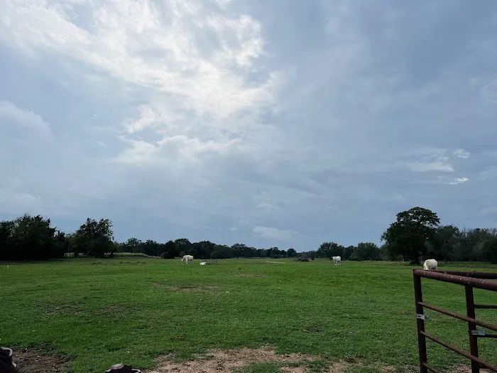 BCS Air Solutions Picture 5