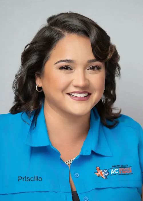 Brazos Valley AC Services & Repair Picture 1