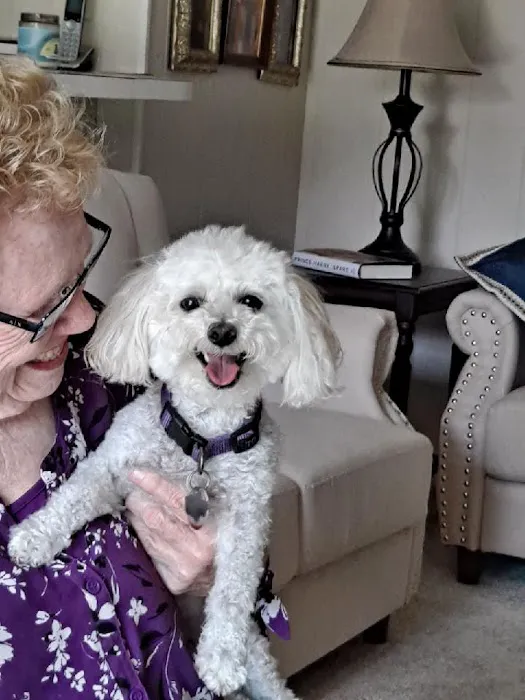 Siegert One Hour Heating & Air Conditioning Picture 9