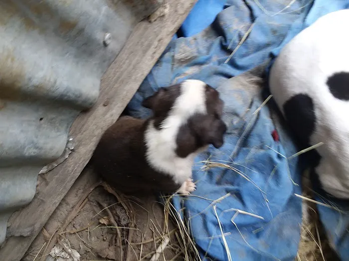 C & R Refrigeration Picture 1