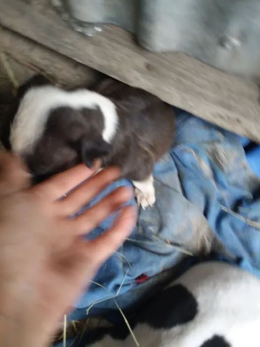 C & R Refrigeration Picture 5