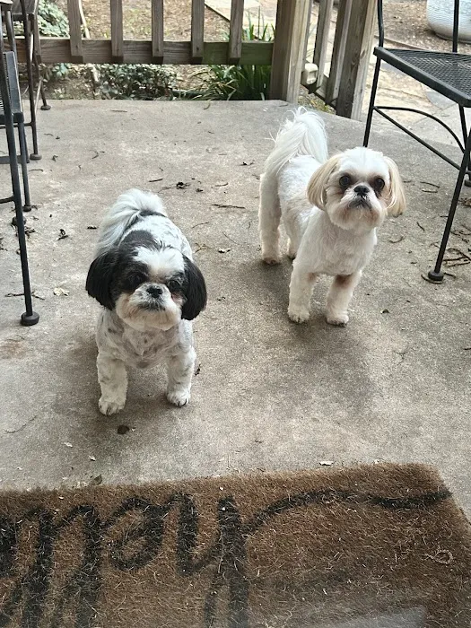 Town & Country Appliance & A/C Picture 1