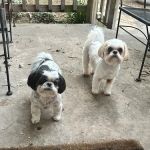 Town & Country Appliance & A/C