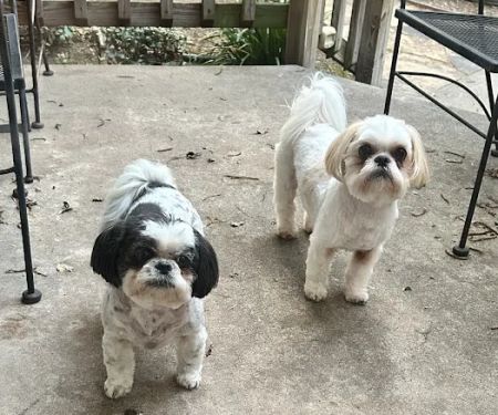 Town & Country Appliance & A/C