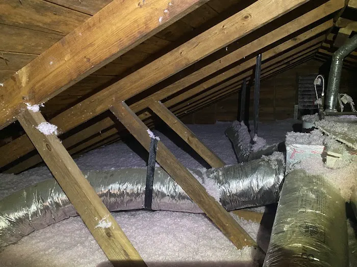 Lone Star Solutions of Centex Picture 7