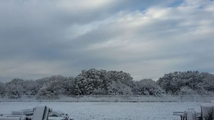 Dailey Company, Inc. Picture 9