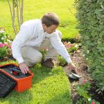 ABC Home & Commercial Services