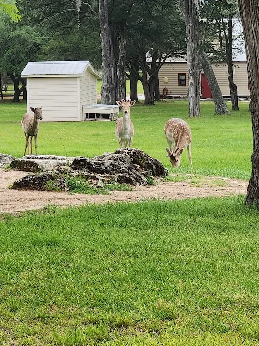 Toepperwein Air Conditioning & Refrigeration and Portable Refrigeration Picture 5