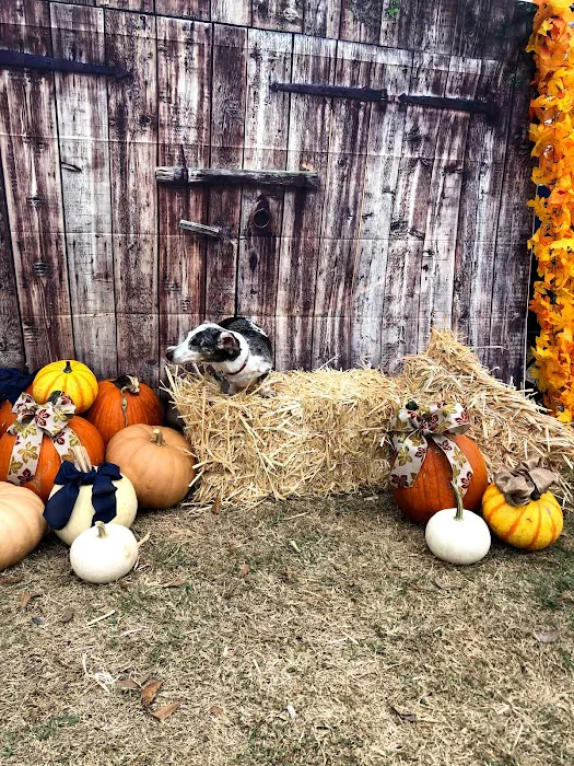 AirOne Heating and Air Conditioning Picture 1