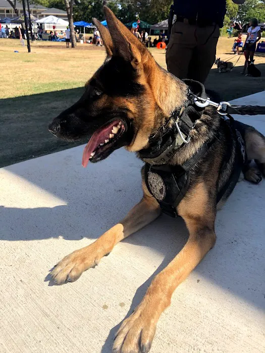 AirOne Heating and Air Conditioning Picture 9