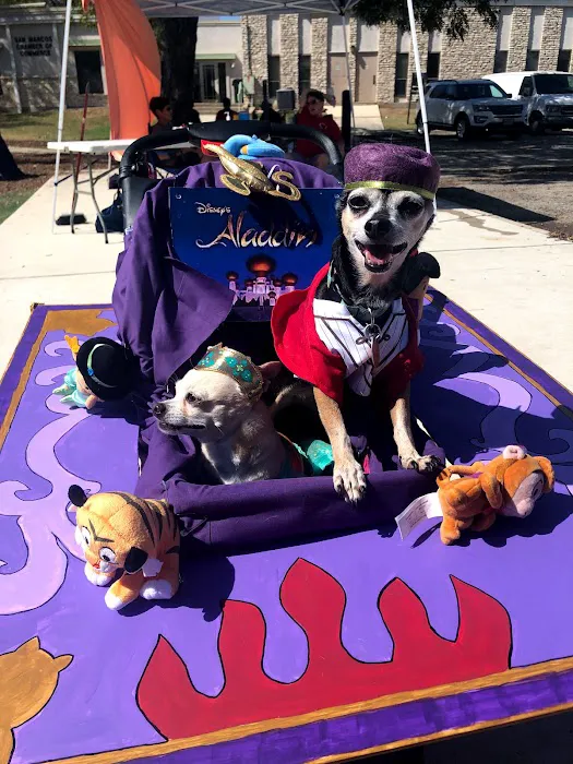 AirOne Heating and Air Conditioning Picture 7