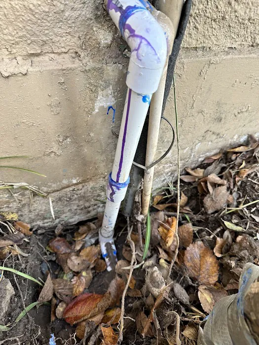 BOLD Plumbing Picture 1