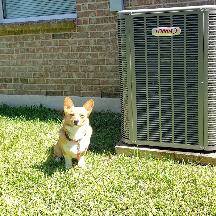 Country Thyme AC Picture 6