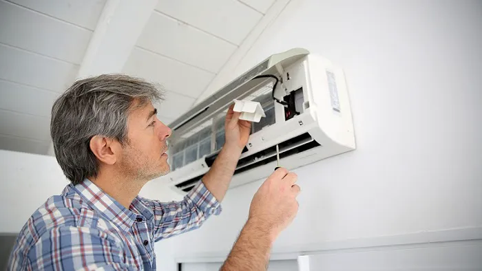 Michalka AC & Electric Picture 1