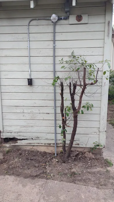 Michalka AC & Electric Picture 2