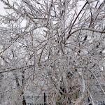 Young Bucks Heating and Air LLC