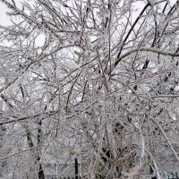 Young Bucks Heating and Air LLC ico