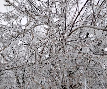 Young Bucks Heating and Air LLC