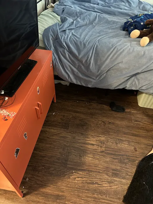 Austin Heating & Air Conditioning Professionals Picture 8