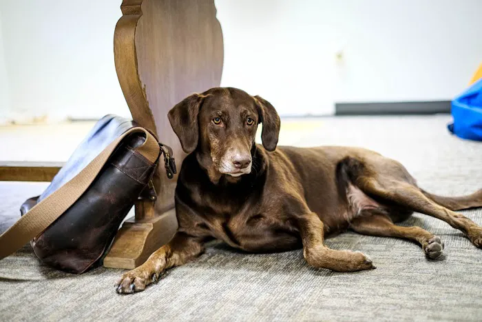 Daniel's Plumbing and Air Conditioning Picture 5