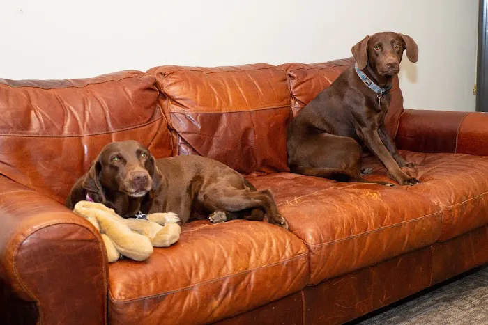 Daniel's Plumbing and Air Conditioning Picture 9