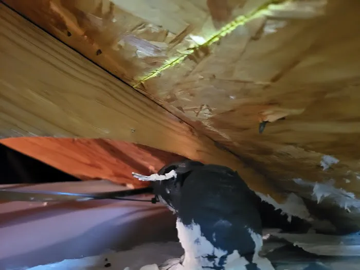 Blue Sky Heating and Air Picture 4