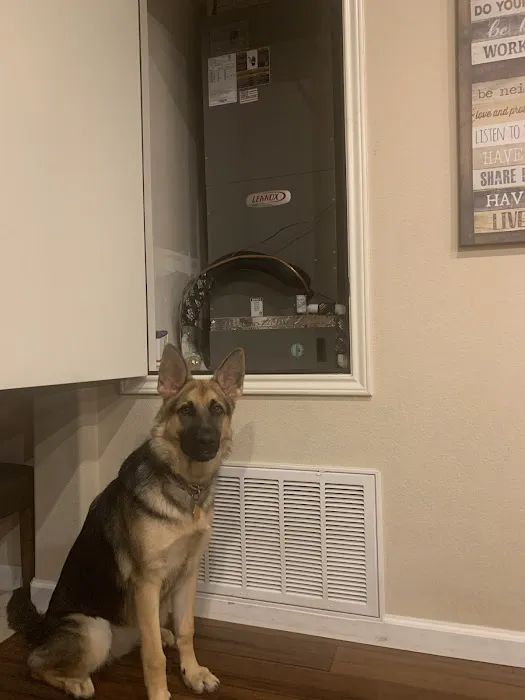 Evenaire Heating and Air Conditioning Picture 8