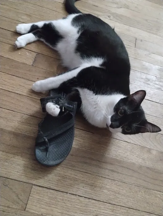 Jon Wayne Service Company Picture 5