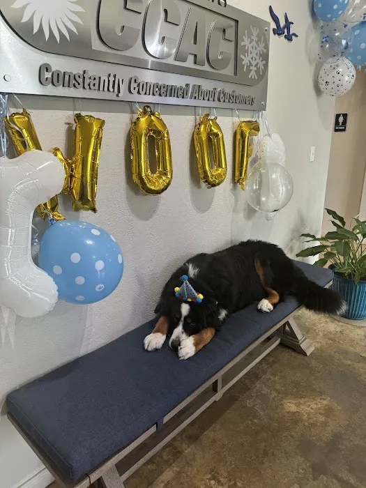 Mathews CCAC Picture 8