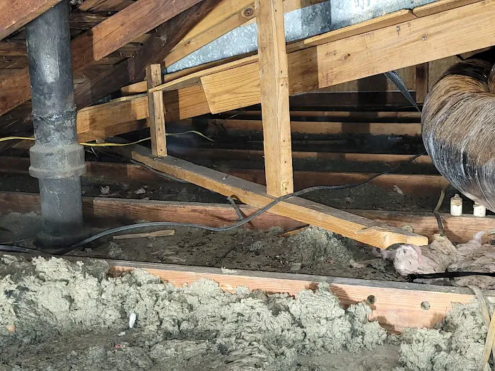 Gabe's Priority AC Service Picture 5