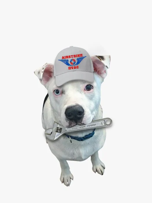 AIRSTRIKE HVAC Picture 4