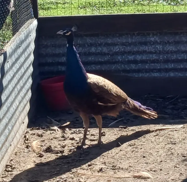 Bannister Plumbing & Air Picture 10