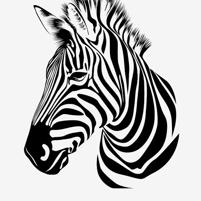 Zebra Ranch Picture 2