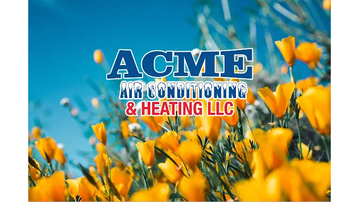 Acme Air Conditioning & Heating Picture 3