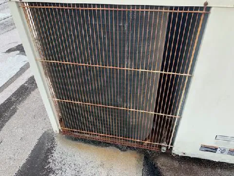 Southern Air Picture 1