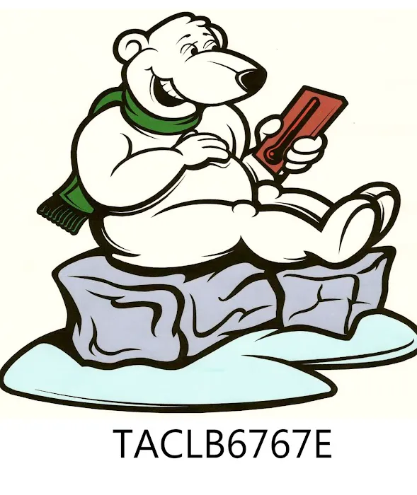 Castillo Service Picture 2