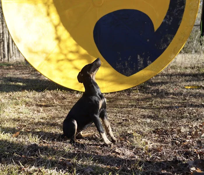 Gold Eagle Services Picture 7