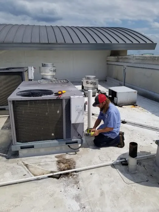 Vetter Air Picture 8