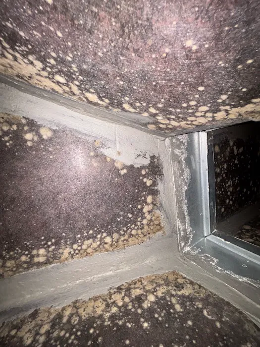 Livinon Mechanical Picture 8