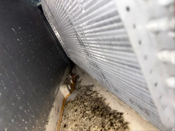 Livinon Mechanical Picture 2