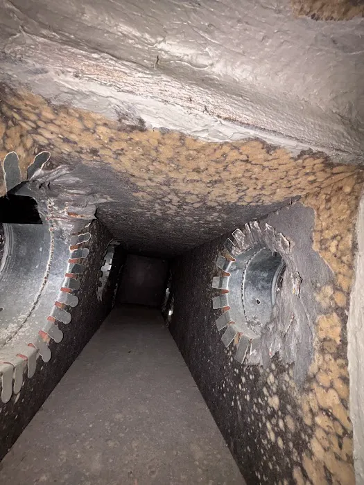 Livinon Mechanical Picture 6