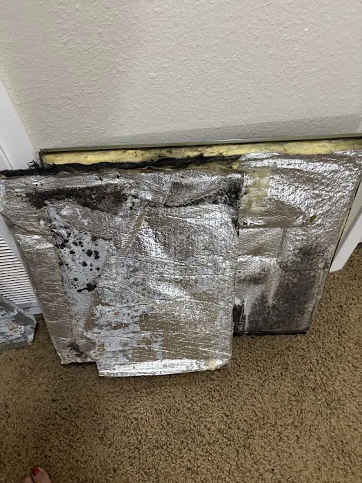 Wright Home Services Picture 1