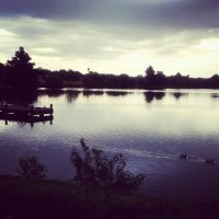 Master Chief Air Conditioning & Heating LLC ico